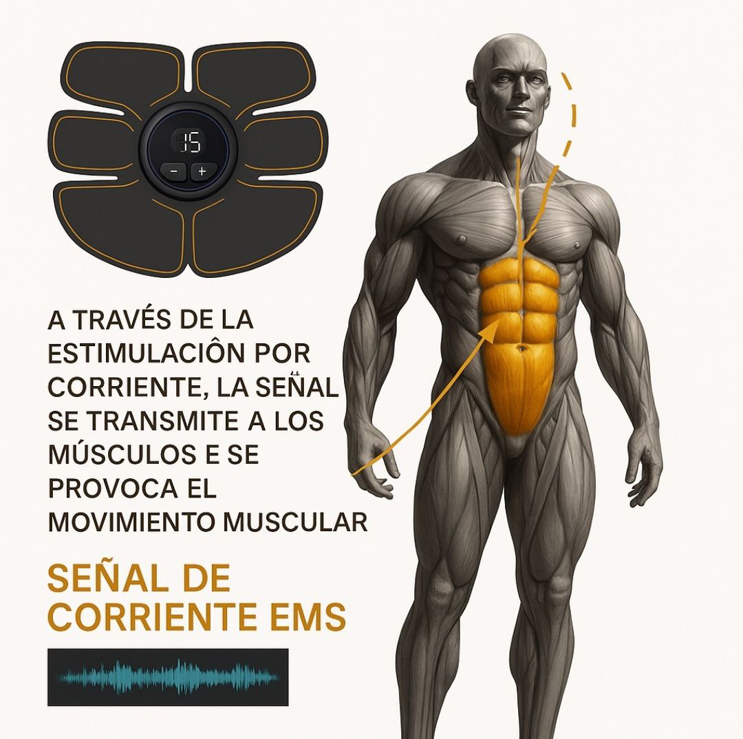 Estimulador muscular EMS recargable por USB, terapia de masaje eléctrico, alivio del dolor, masajeador digital de meridianos de cuerpo completo, fitness